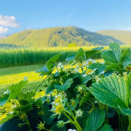 Rooms & Apartment Zala Skier-Friendly Near Cable Car 3* Cerklje na Gorenjskem