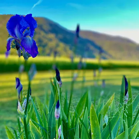 アパートホテル Rooms & Apartment Zala Near Airport & Cable Car