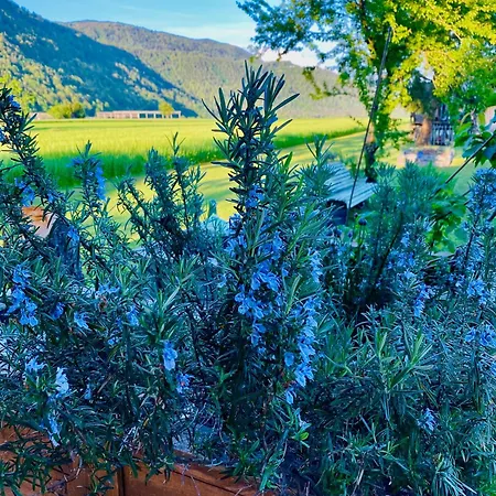 アパートホテル Rooms & Apartment Zala Near Airport & Cable Car 3*