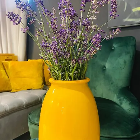 Rooms&Apartment ZALA Aparthotel 3*