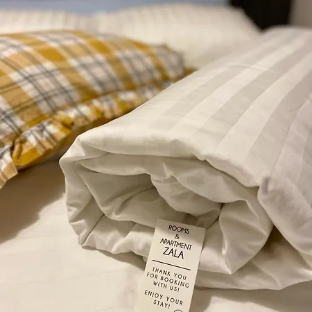 Rooms & Apartment Zala Near Airport & Cable Car アパートホテル 3*