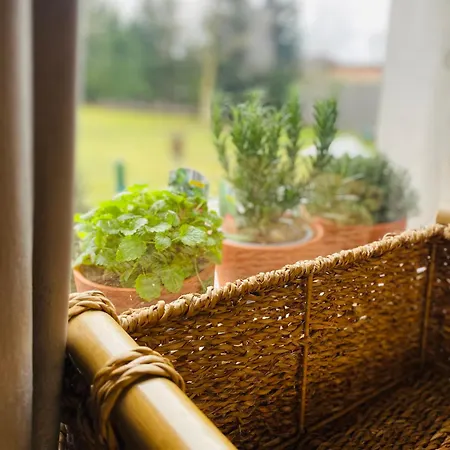 Rooms&Apartment ZALA 3*