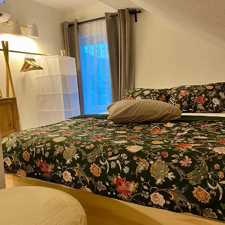 & Zala Air-conditioned Near Airport 公寓式酒店 戈雷尼斯卡地区采尔克列
