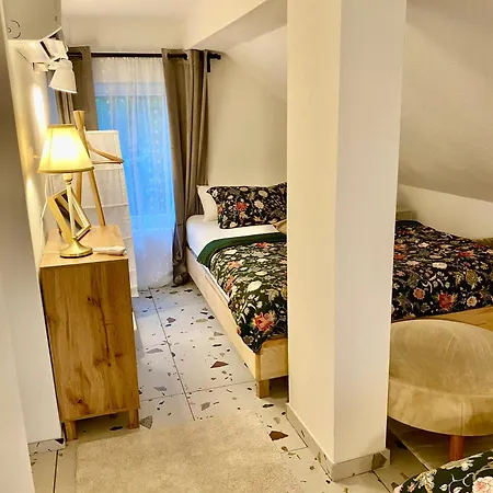 & Zala Air-conditioned Near Airport 4* 戈雷尼斯卡地区采尔克列