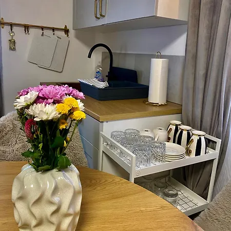 아파트호텔 Rooms & Apartment Zala Near Airport & At The Uec Road European Championships 2026 October 2-7