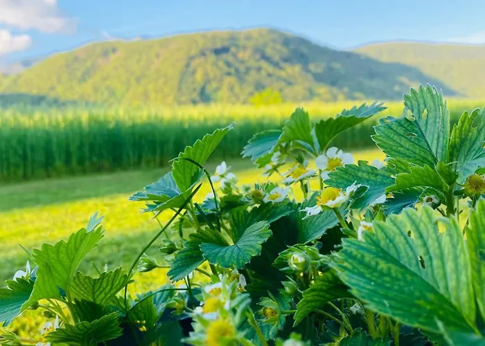 & Zala Near Airport & Cable Car 3* צרקליה נה גורניסקם