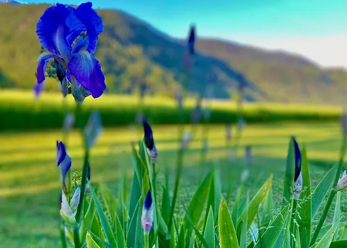 מלון דירות & Zala Near Airport & Cable Car