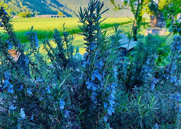 Aparthotel & Zala Near Airport & Cable Car 3*