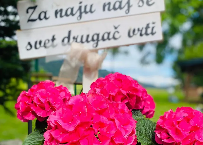 Aparthotel & Zala Near Airport & Cable Car