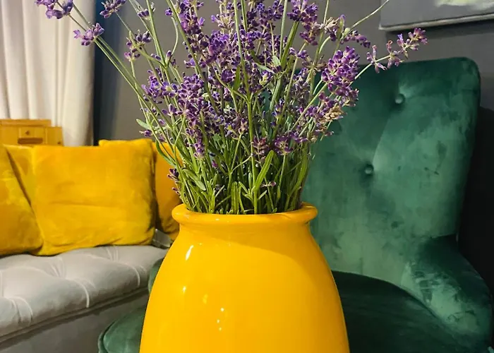 & Zala Near Airport & Cable Car Aparthotel 4*