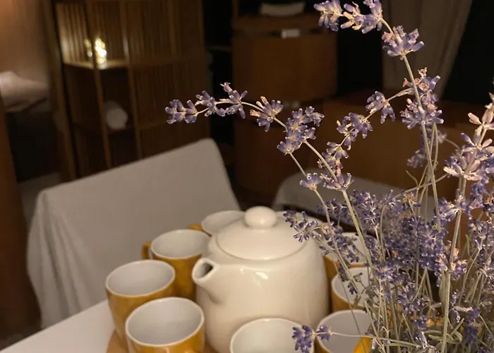 & Zala Near Airport & Cable Car Cerklje na Gorenjskem