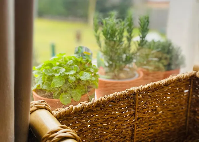 & Zala Near Airport & Cable Car 3*